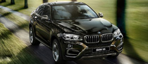 BMW X6 ( 6)